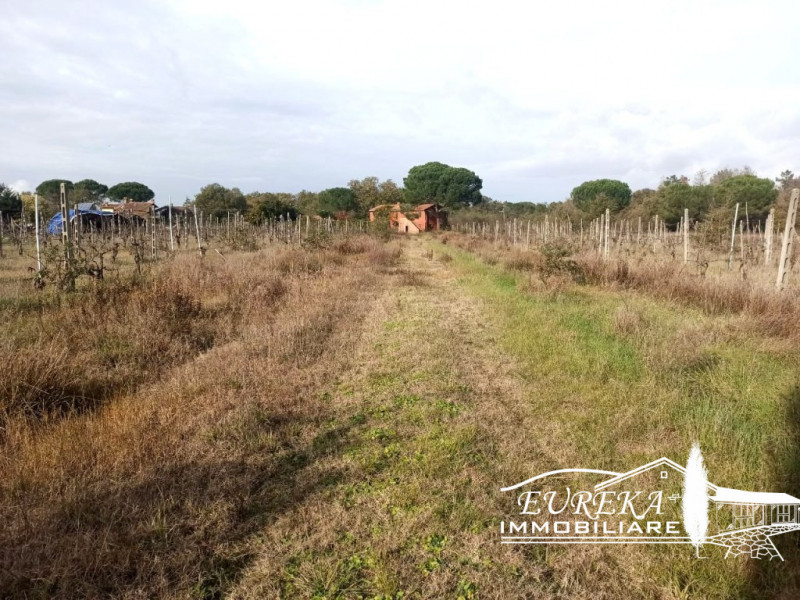 Immagine 21 di Rustico / casale in vendita  a Castiglione Del Lago
