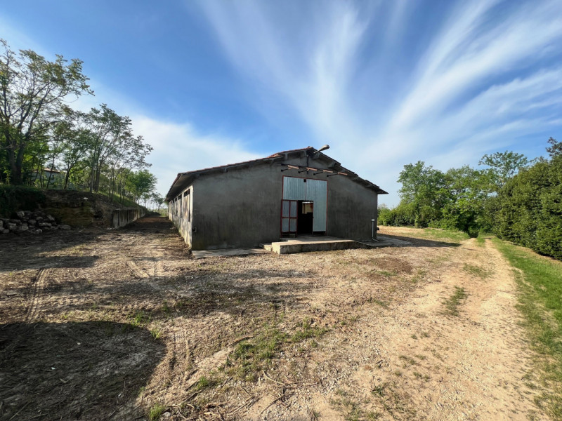 Immagine 8 di Terreno in vendita  in via casara roveri a Alonte