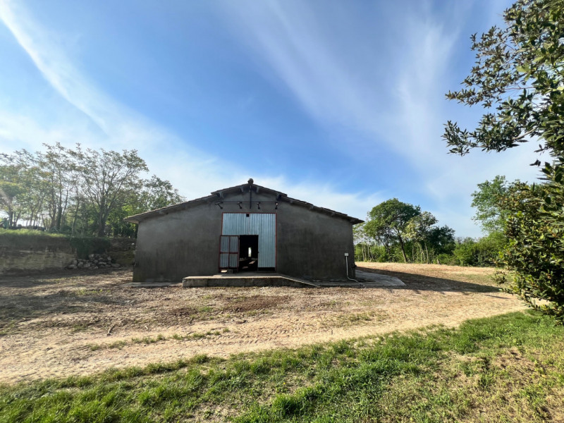 Immagine 9 di Terreno in vendita  in via casara roveri a Alonte