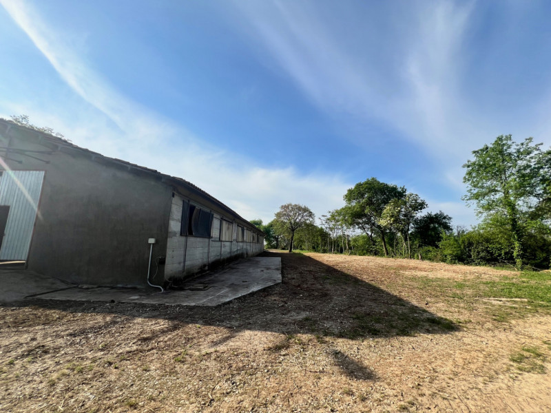 Immagine 10 di Terreno in vendita  in via casara roveri a Alonte