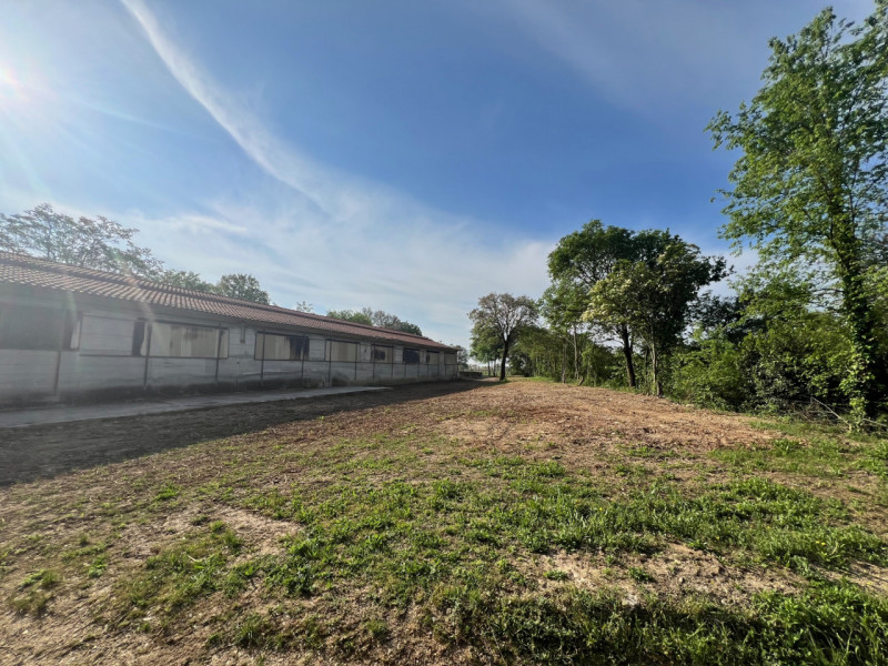 Immagine 11 di Terreno in vendita  in via casara roveri a Alonte