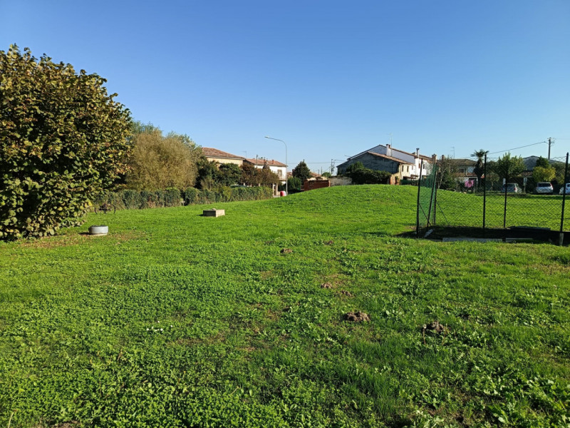 Immagine 6 di Casa indipendente in vendita  in Borgo San Marco a Montagnana
