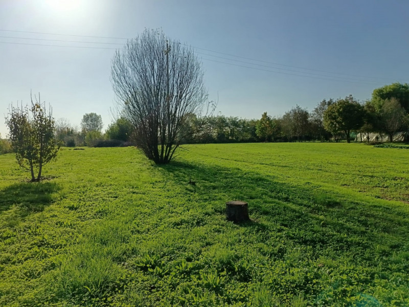 Immagine 7 di Casa indipendente in vendita  in Borgo San Marco a Montagnana