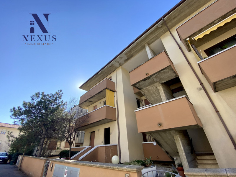 Immagine 17 di Appartamento in vendita  a Mondolfo