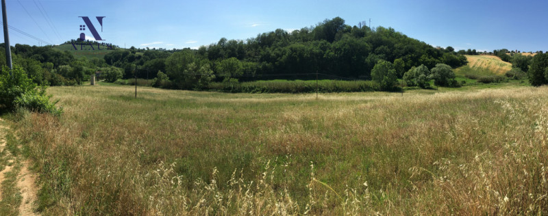 Immagine 2 di Terreno in vendita  a San Costanzo