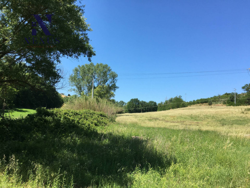 Immagine 4 di Terreno in vendita  a San Costanzo
