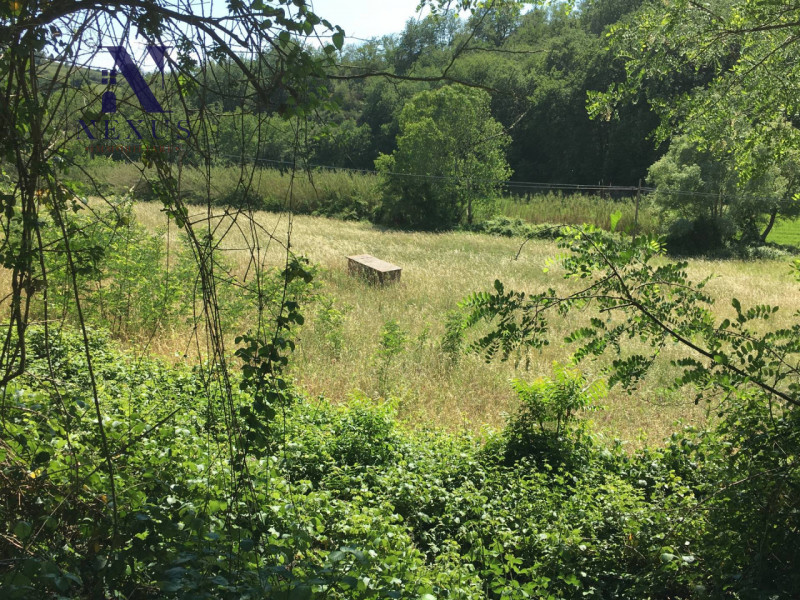 Immagine 5 di Terreno in vendita  a San Costanzo