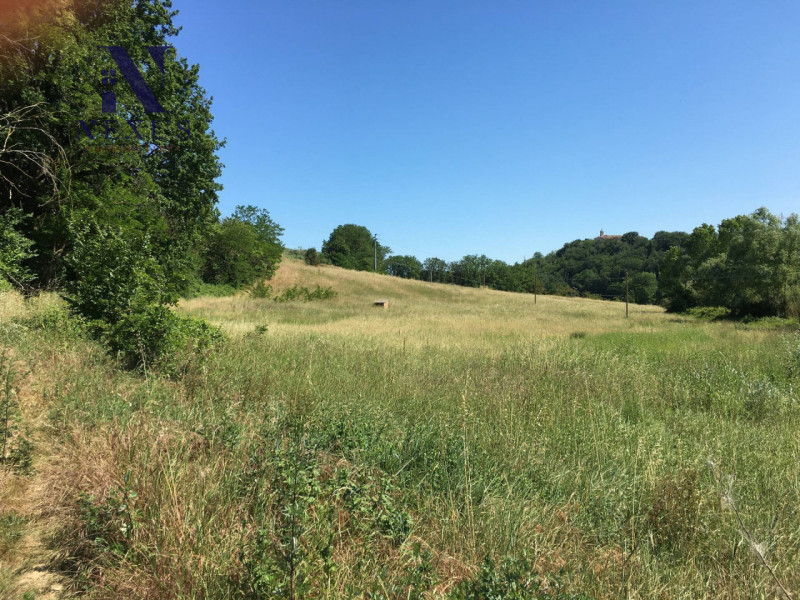 Immagine 6 di Terreno in vendita  a San Costanzo