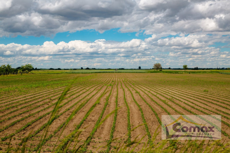 Immagine 1 di Terreno in vendita  in Via Pelosa a Selvazzano Dentro
