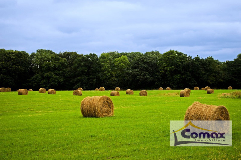 Immagine 3 di Terreno in vendita  in Via Pelosa a Selvazzano Dentro