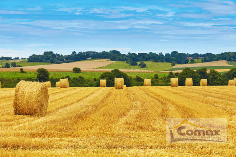 Immagine 5 di Terreno in vendita  in Via Pelosa a Selvazzano Dentro