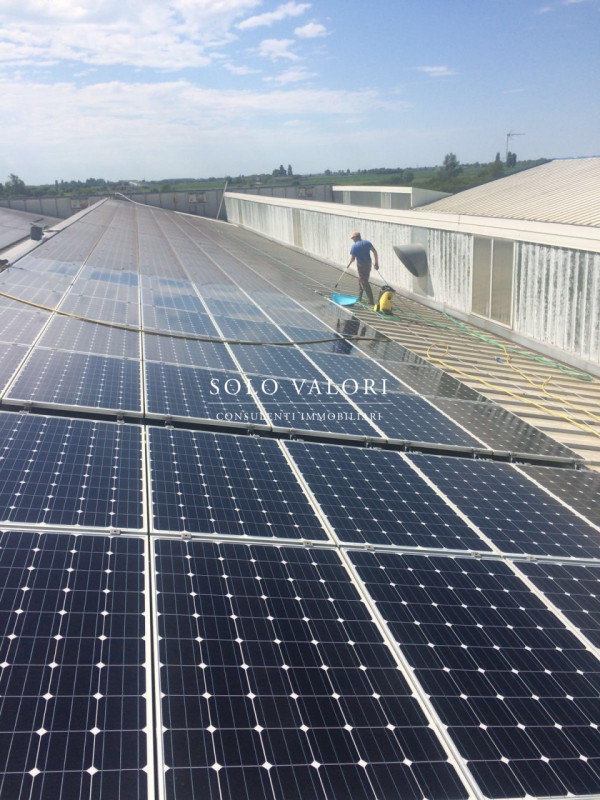 Immagine 10 di Capannone industriale in affitto  a Portogruaro