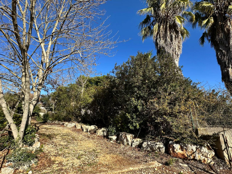 Immagine 13 di Hotel in vendita  in contrada tanzarella a Cisternino
