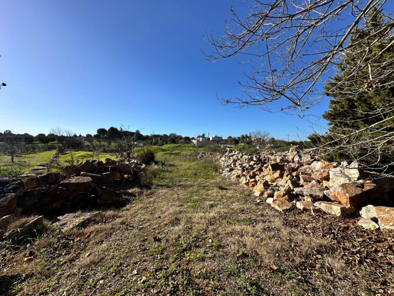 Immagine 15 di Hotel in vendita  in contrada tanzarella a Cisternino
