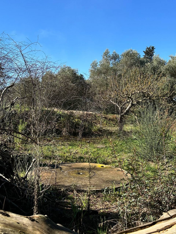 Immagine 16 di Hotel in vendita  in contrada tanzarella a Cisternino