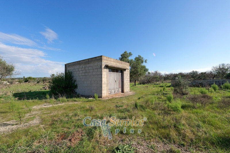 Immagine 1 di Terreno in vendita  in Contrada Stallone a Matino