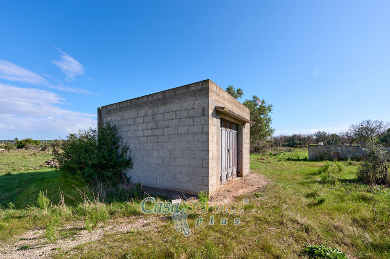 Immagine 2 di Terreno in vendita  in Contrada Stallone a Matino