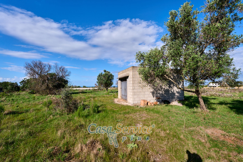 Immagine 3 di Terreno in vendita  in Contrada Stallone a Matino