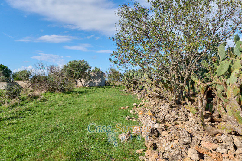 Immagine 6 di Terreno in vendita  in Contrada Stallone a Matino