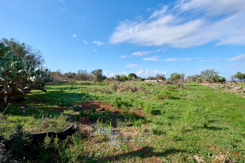 Immagine 8 di Terreno in vendita  in Contrada Stallone a Matino