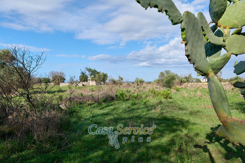 Immagine 9 di Terreno in vendita  in Contrada Stallone a Matino