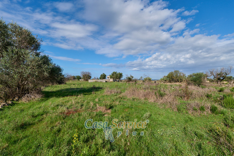 Immagine 11 di Terreno in vendita  in Contrada Stallone a Matino