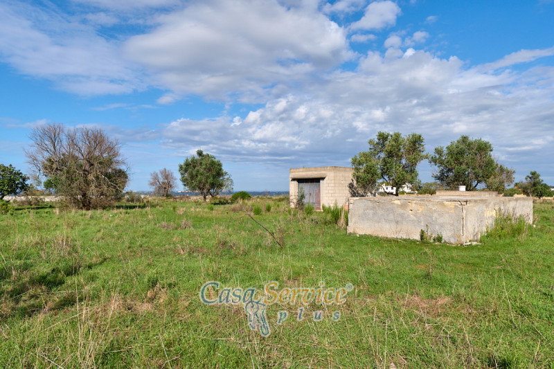 Immagine 12 di Terreno in vendita  in Contrada Stallone a Matino