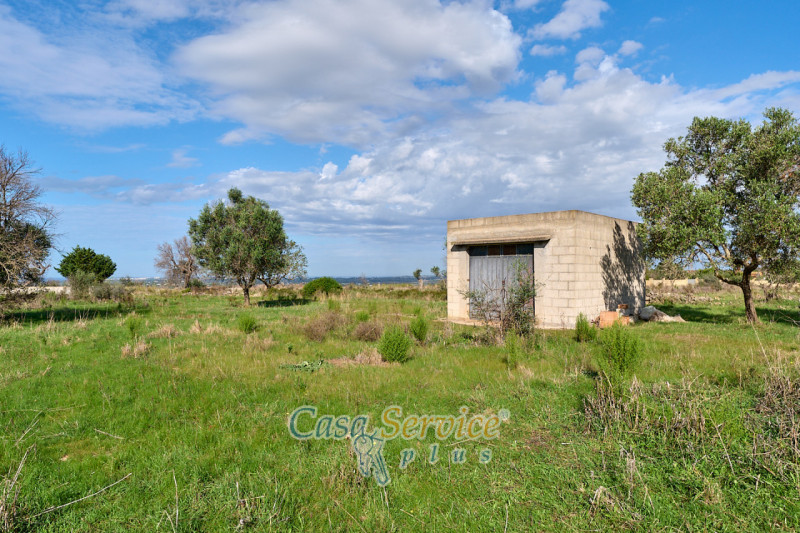 Immagine 13 di Terreno in vendita  in Contrada Stallone a Matino