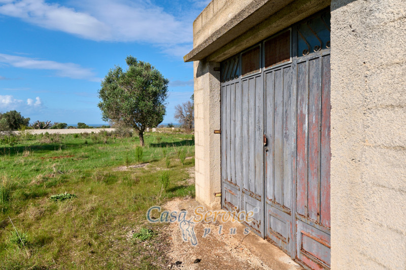 Immagine 14 di Terreno in vendita  in Contrada Stallone a Matino