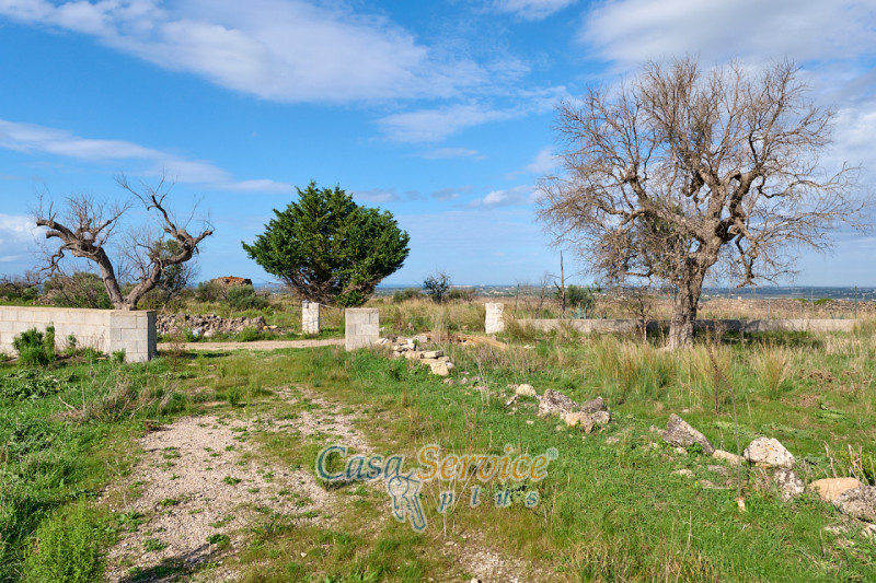 Immagine 16 di Terreno in vendita  in Contrada Stallone a Matino