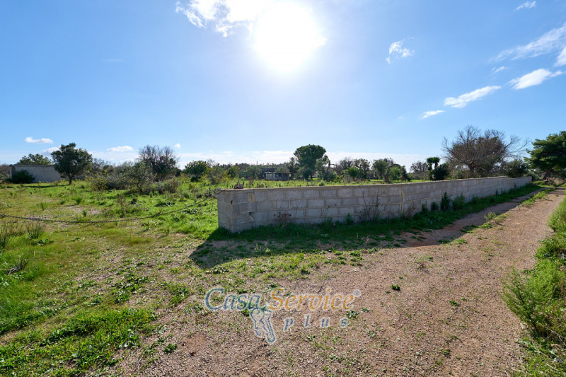 Immagine 17 di Terreno in vendita  in Contrada Stallone a Matino