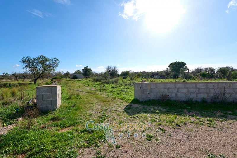 Immagine 18 di Terreno in vendita  in Contrada Stallone a Matino