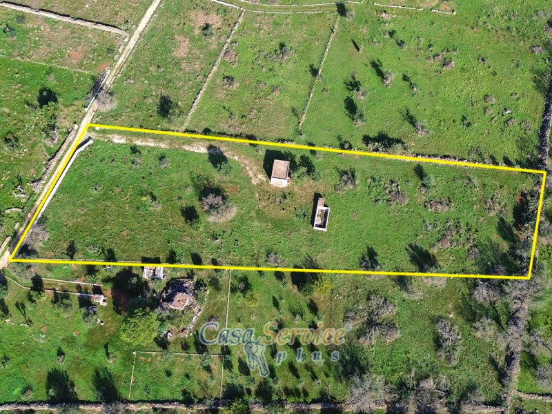Immagine 19 di Terreno in vendita  in Contrada Stallone a Matino