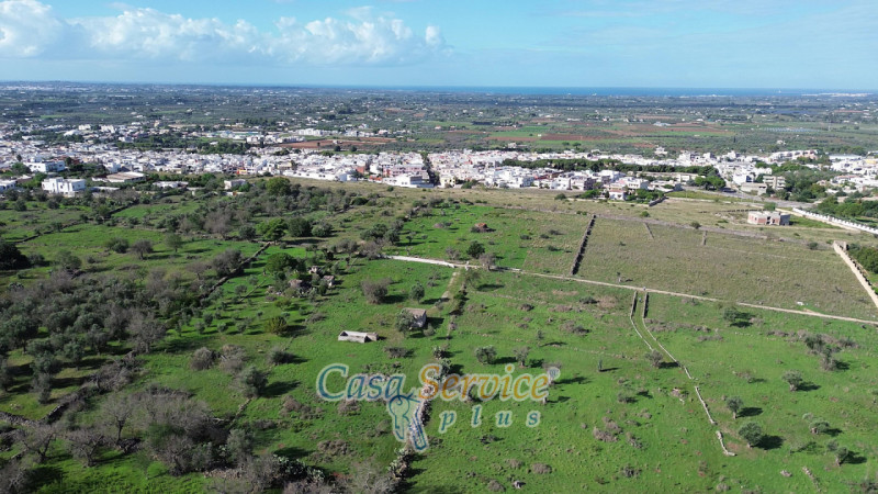 Immagine 20 di Terreno in vendita  in Contrada Stallone a Matino