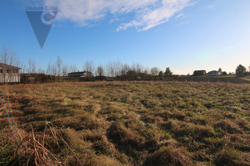 Immagine 3 di Terreno in vendita  a Piove Di Sacco