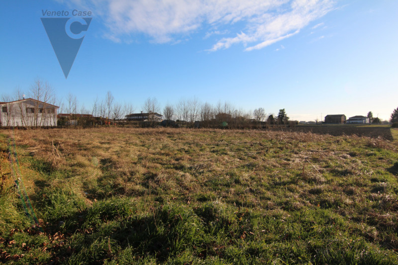 Immagine 4 di Terreno in vendita  a Piove Di Sacco