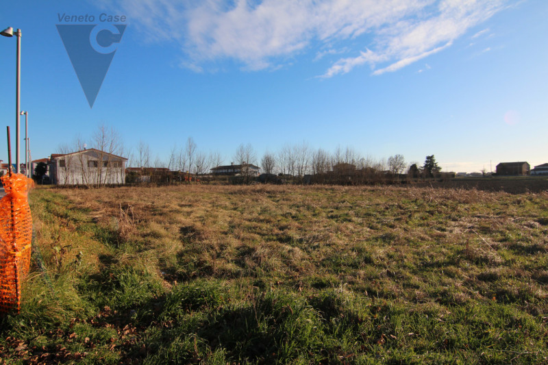 Immagine 5 di Terreno in vendita  a Piove Di Sacco