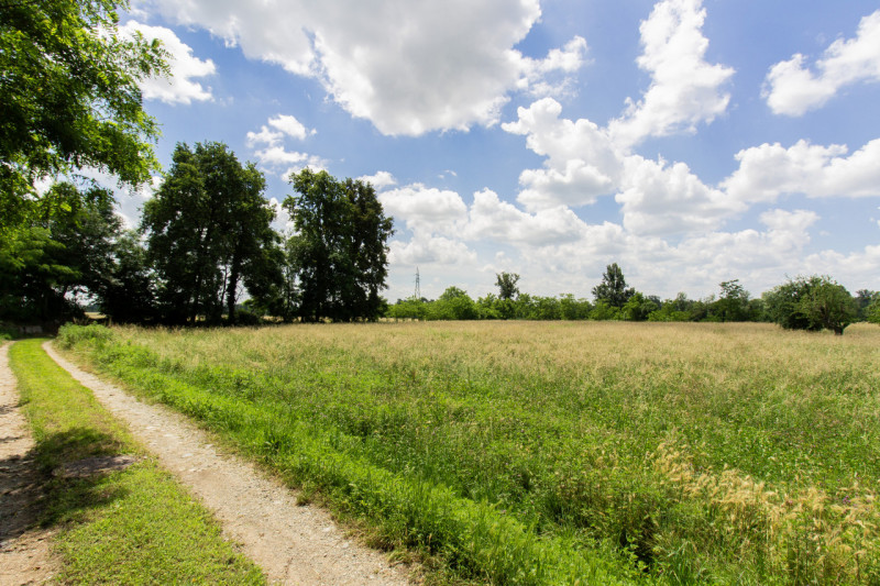 Immagine 4 di Rustico / casale in vendita  in Frazione Sant'Antonio a Castellamonte