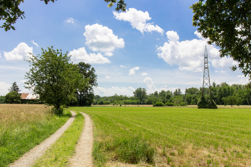 Immagine 5 di Rustico / casale in vendita  in Frazione Sant'Antonio a Castellamonte