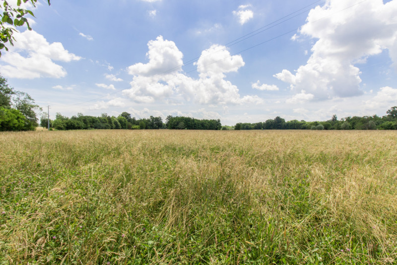 Immagine 6 di Rustico / casale in vendita  in Frazione Sant'Antonio a Castellamonte