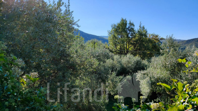 Immagine 8 di Rustico / casale in vendita  a Rivoli Veronese