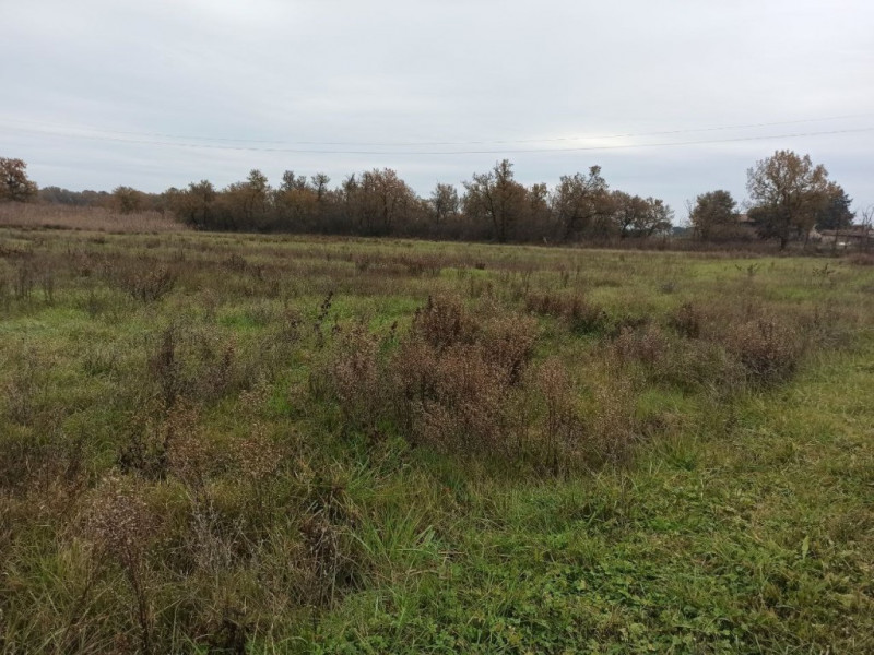 Immagine 2 di Terreno in vendita  in Piana a Castiglione Del Lago