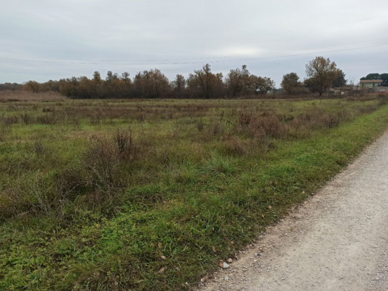 Immagine 3 di Terreno in vendita  in Piana a Castiglione Del Lago