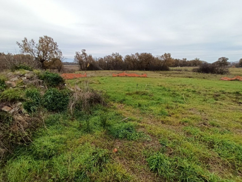 Immagine 4 di Terreno in vendita  in Piana a Castiglione Del Lago