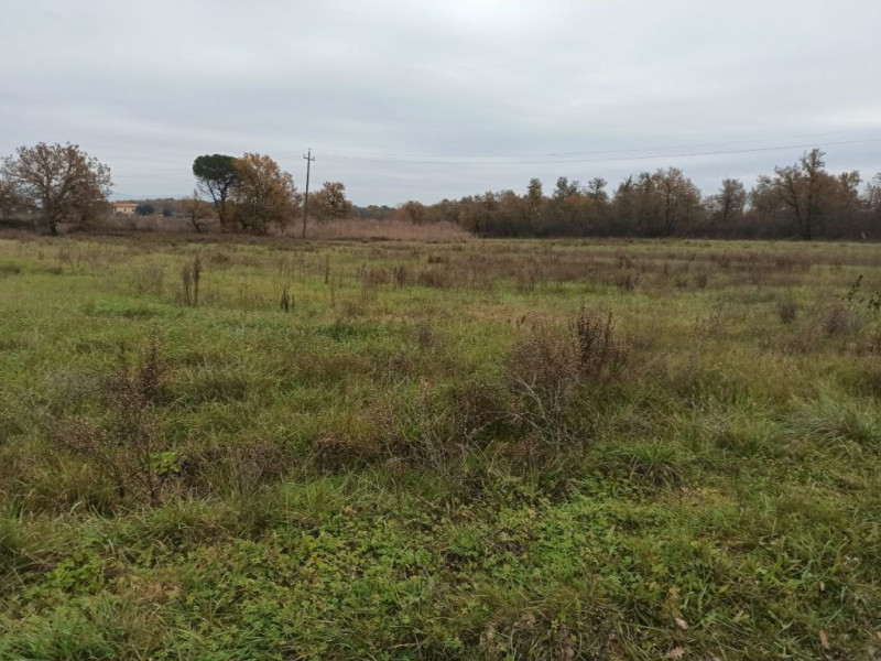 Immagine 5 di Terreno in vendita  in Piana a Castiglione Del Lago