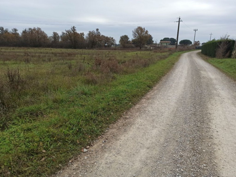Immagine 10 di Terreno in vendita  in Piana a Castiglione Del Lago