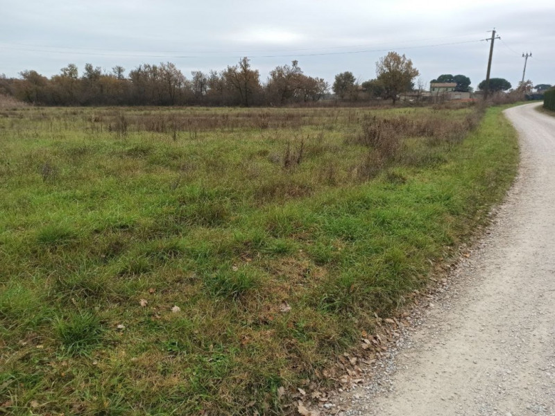 Immagine 11 di Terreno in vendita  in Piana a Castiglione Del Lago