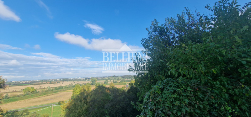 Immagine 5 di Villa in vendita  in via bugano a Longare