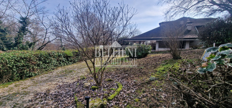 Immagine 8 di Villa in vendita  in via bugano a Longare