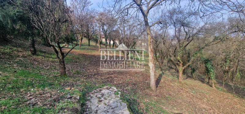 Immagine 9 di Villa in vendita  in via bugano a Longare